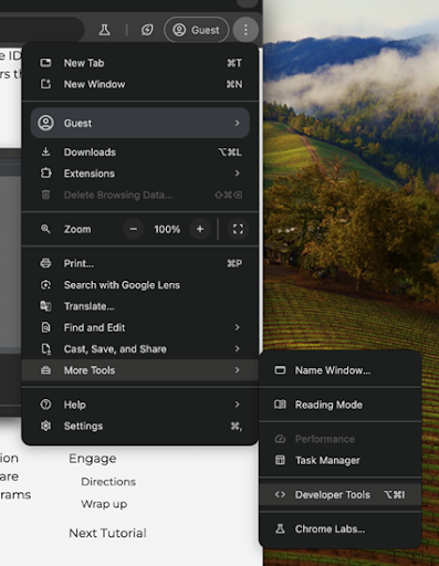 This image shows the developer tools menu on specifically chrome. It literally just says developer tools and is under More Tools.