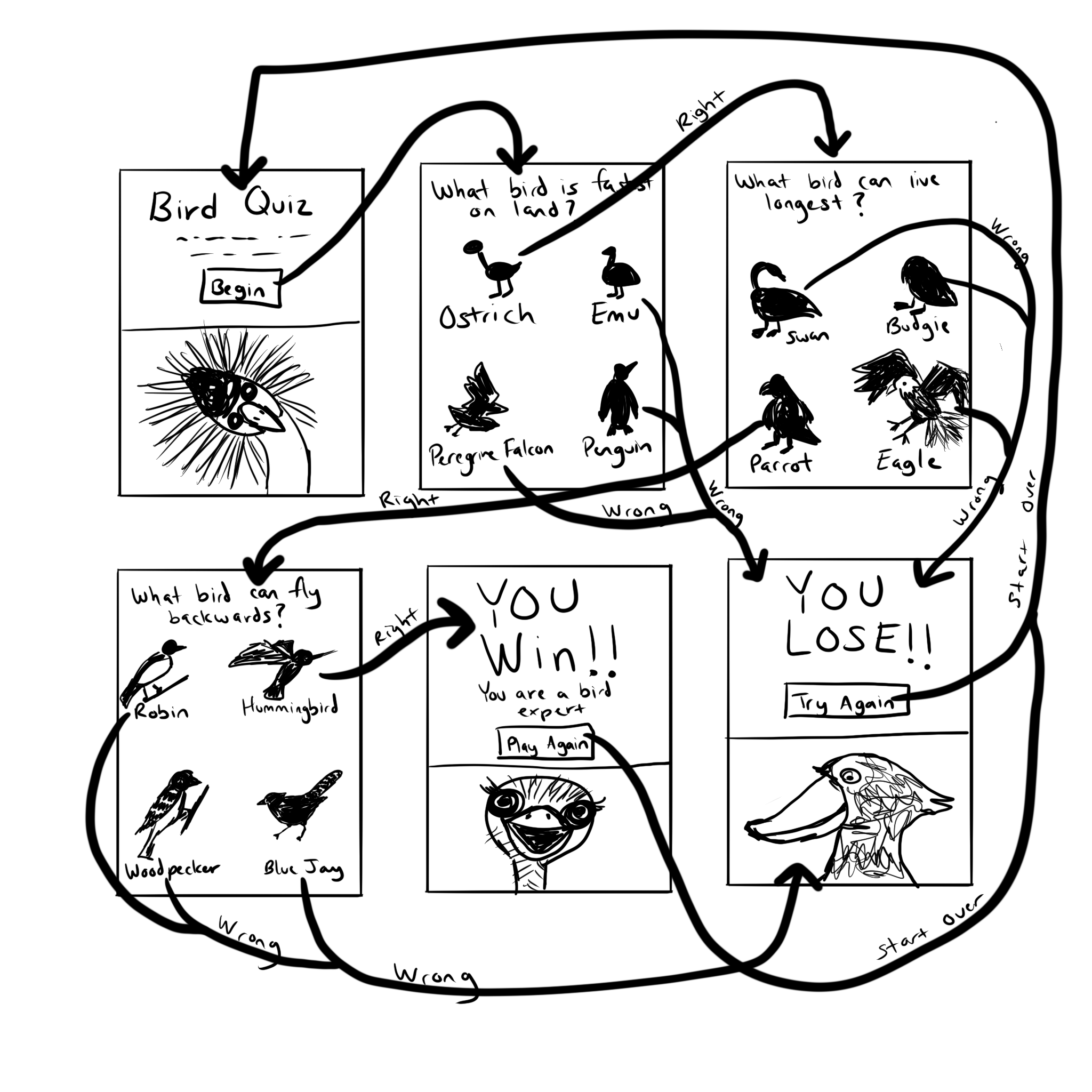 A sketch featuring all 6 of the pages of the Bird Quiz sample app. Every page has every screen element from the app, and every button has flowchart-style arrows pointing to what screen the button takes you to.