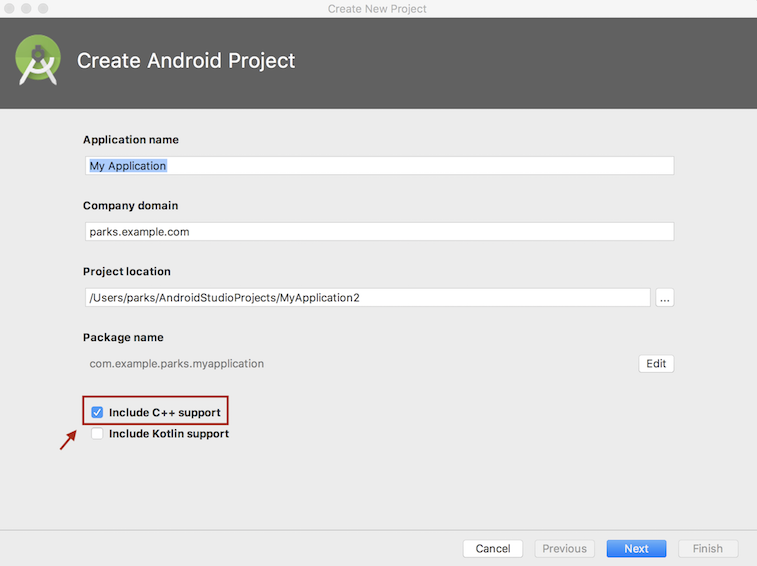 This is an image showing the c++ selection option